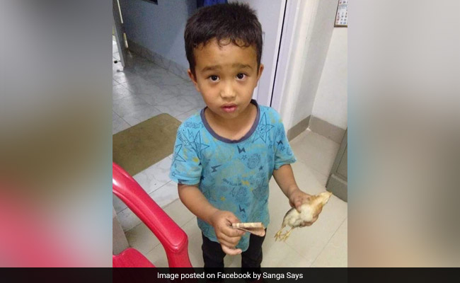 Mizoram Boy Runs Over Chicken, Rushes It To Hospital With His 'Savings'