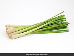 क्या वाकई शरीर के लिए बेहद फायदेमंद है Lemongrass, सेलिब्रिटी लाइफस्टाइल कोच Luke Coutinho ने बताया सच क्या वाकई शरीर के लिए बेहद फायदेमंद है Lemongrass, सेलिब्रिटी लाइफस्टाइल कोच Luke Coutinho ने बताया सच
