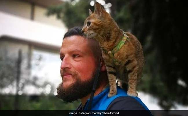 Meet The Man Who Is Biking Around The World, With A Cat On His Back