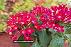 Huawei P30 Pro vs Samsung Galaxy S10+ Huawei P30 Pro vs Samsung Galaxy S10+