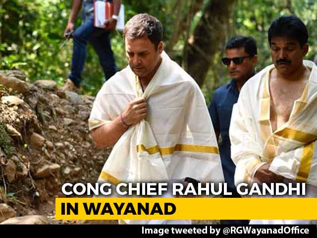 Rahul Gandhi Visits Stream In Wayanad Where Father's Ashes Were Immersed