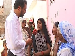 In UP, BJP's Dalit Outreach May Have Run Into A New Wall: Stray Cattle In UP, BJP's Dalit Outreach May Have Run Into A New Wall: Stray Cattle