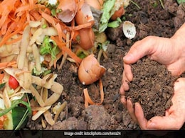 World Soil Day 2019: क्यों मनाया जाता है ''विश्व मृदा दिवस'', जानें कैसे हुई इसकी शुरुआत World Soil Day 2019: क्यों मनाया जाता है ''विश्व मृदा दिवस'', जानें कैसे हुई इसकी शुरुआत