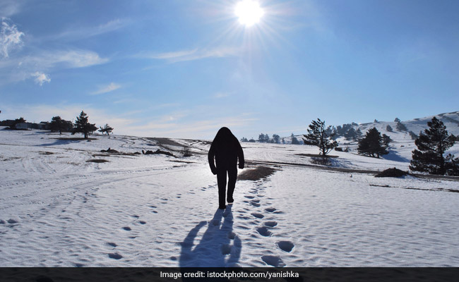 What Is Yeti? Myths And Legends About The "Elusive Snowman"