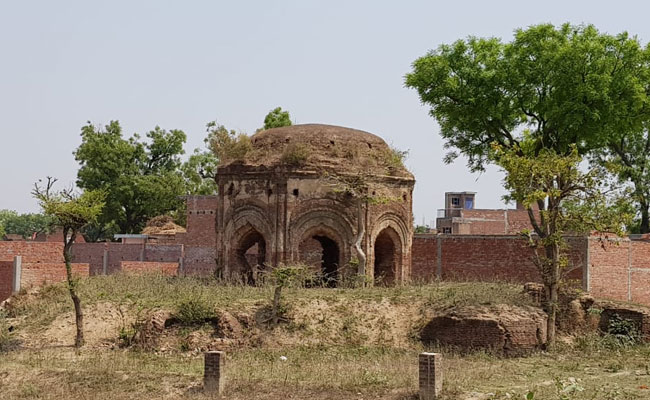 फर्रुखाबाद की सियासत पर आलू और मोदी