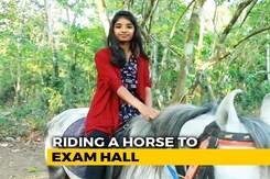 Kerala Teen's "Special" Reason Why She Rode Horse To Exam Hall Kerala Teen's "Special" Reason Why She Rode Horse To Exam Hall