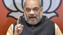 "Deliberate" Demographic Changes Taking Place Along Borders: Amit Shah
