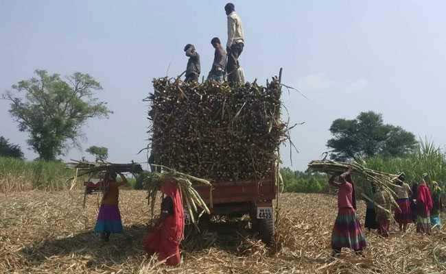 Farm Distress, A Key Issue In Rajkot Lok Sabha Constituency