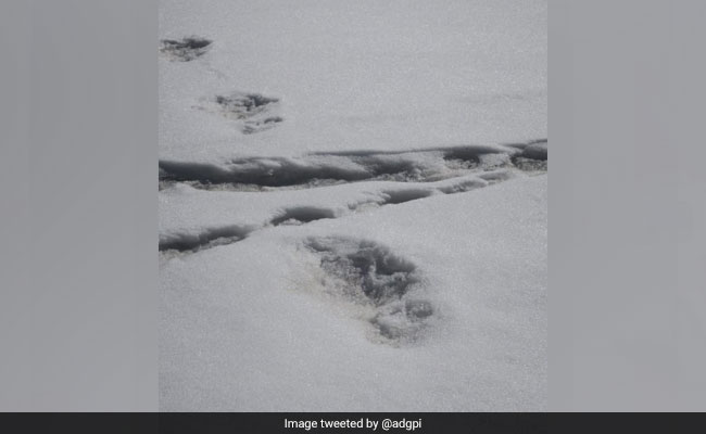 "Yeti" Footprints Sighted By Expedition Team, Tweets Indian Army
