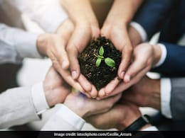 Earth Day 2026: धरती के नाम संदेश, कोट्स और हर दिन बदलने वाली सोच