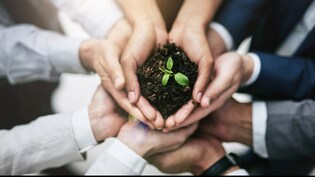 Earth Day 2026: धरती के नाम संदेश, कोट्स और हर दिन बदलने वाली सोच