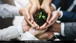 Happy Earth Day 2025: 30 Wishes, Messages And Quotes To Raise Awareness