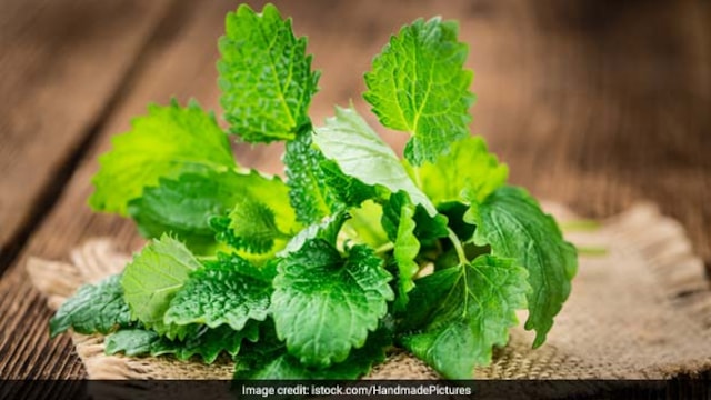 Mint leaves improve digestion and can be incorporated into our daily diet easily