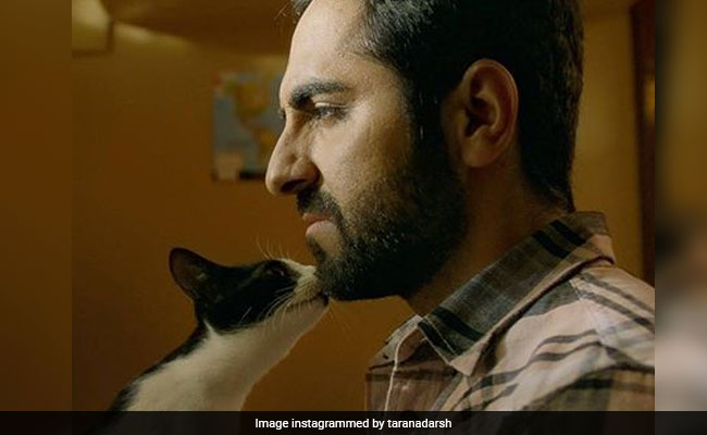 <i>AndhaDhun</i> China Box Office Collection: Ayushmann Khurrana And Tabu's Film At Rs 136 Crore And Counting