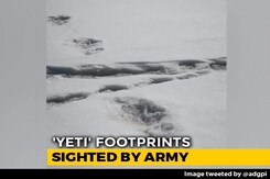 'Yeti' Footprints Sighted By Expedition Team, Tweets Indian Army 'Yeti' Footprints Sighted By Expedition Team, Tweets Indian Army
