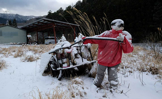 Valley Of The Dolls: Scarecrows Outnumber People In Japan Village