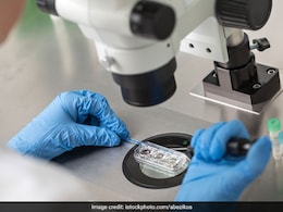 "IVF के लिए नहीं थे पैसे": पत्नी की प्रेग्नेंसी के लिए शख्स ने पिता के साथ मिलाया अपना स्पर्म "IVF के लिए नहीं थे पैसे": पत्नी की प्रेग्नेंसी के लिए शख्स ने पिता के साथ मिलाया अपना स्पर्म