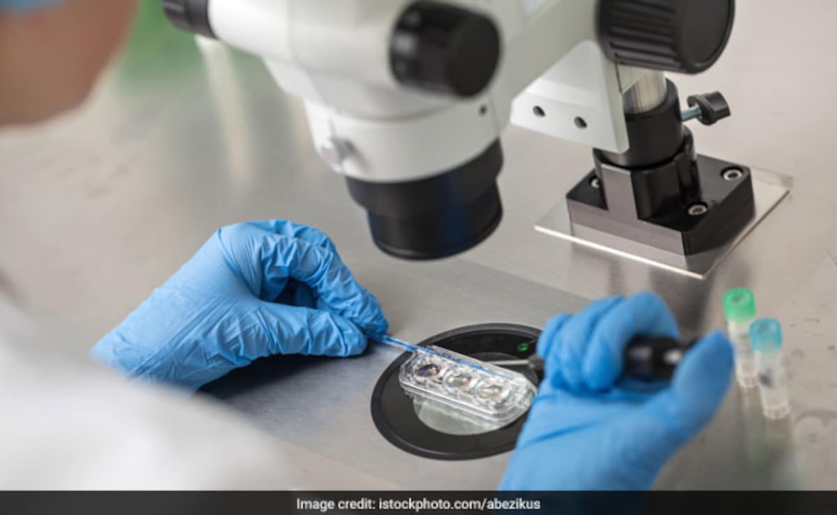 When Should You Stop Fertility Treatments? Here's How Specialists Decide