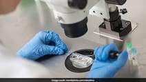 World IVF Day: What Really Determines Your IVF Success Rate?
