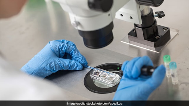 Health Benefits and Risks of Egg Freezing