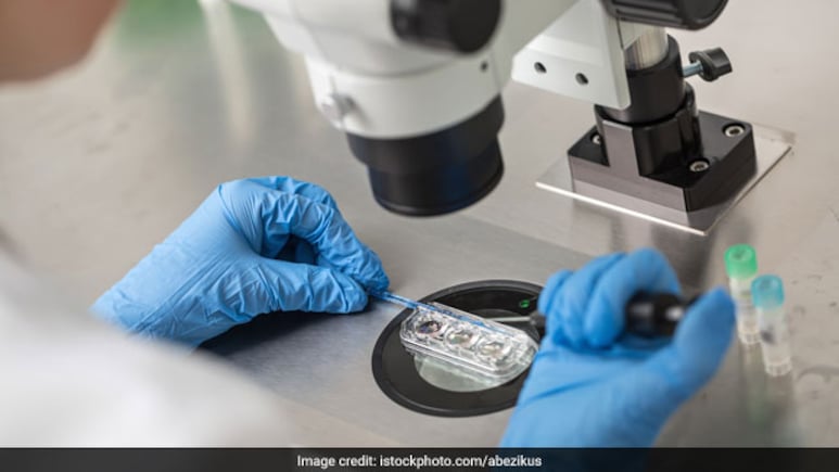 किस उम्र में करवाना चाहिए IVF? जानें क्या कहते हैं डॉक्टर