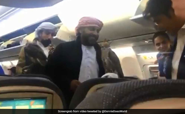 2-Million Views For Video Of 'Emotional Support Falcons' On Flight