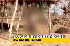 Unable To Repay Rs. 9,000 Loan, Madhya Pradesh Farmer Commits Suicide Unable To Repay Rs. 9,000 Loan, Madhya Pradesh Farmer Commits Suicide
