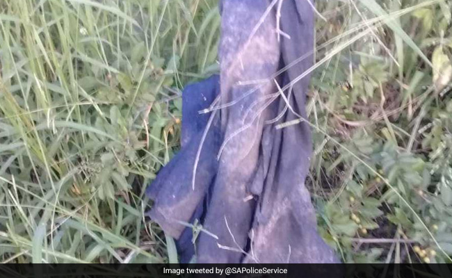 नेशनल पार्क में शिकार के लिए घूम रहा था शख्स, पहले हाथी ने कुचला फिर शेरों ने कर दिया ऐसा