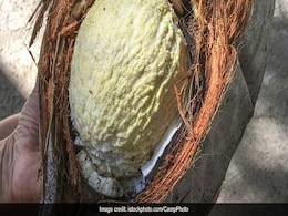Tried Coconut Flower Yet? Celeb Nutritionist Rujuta Diwekar Tells Us Why It's An 'Indian Superfood' Tried Coconut Flower Yet? Celeb Nutritionist Rujuta Diwekar Tells Us Why It's An 'Indian Superfood'