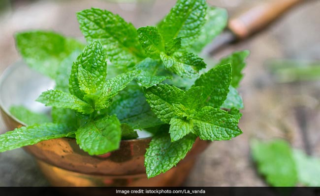 6 Minty Face Washes To Instantly Refresh Your Skin