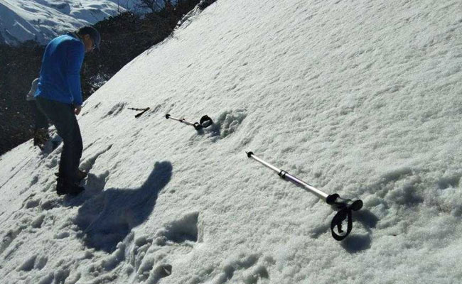 One-Legged Beast Or Snowshoer? Foreign Media On Army's Yeti Claim