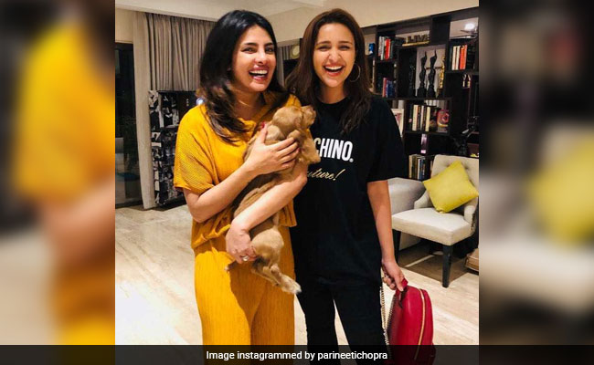 Priyanka Chopra And 'Aunt' Parineeti Introduce Us To Adorable Pooch Bailey Chopra