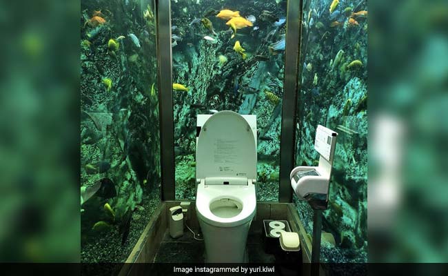 Toilet Surrounded By Beautiful Aquarium Takes Social Media By Storm