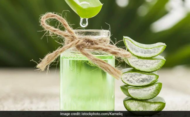 Aloe vera uses: You can add aloe vera to your beauty regimen without giving a second thought