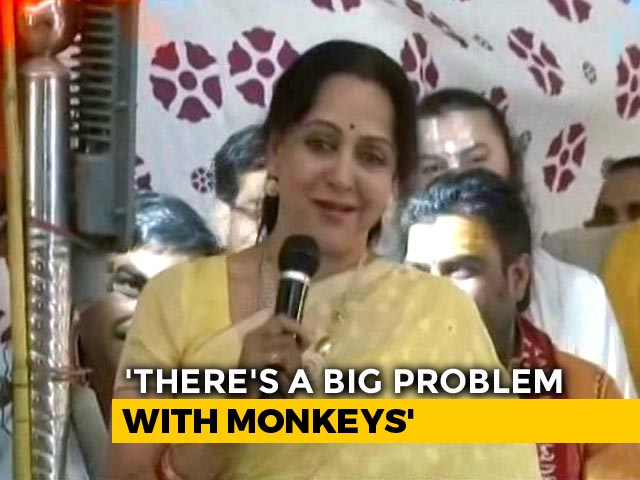 For Hema Malini, "Frooti, Samosa" Villain In Mathura's Monkey Problem