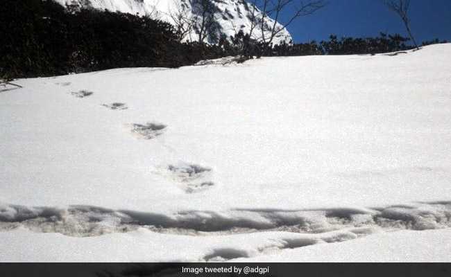 "Don't Call Yeti A Beast": Social Media Reacts After Army's "Yeti" Tweet