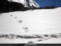 "Don't Call Yeti A Beast": Social Media Reacts After Army's "Yeti" Tweet "Don't Call Yeti A Beast": Social Media Reacts After Army's "Yeti" Tweet