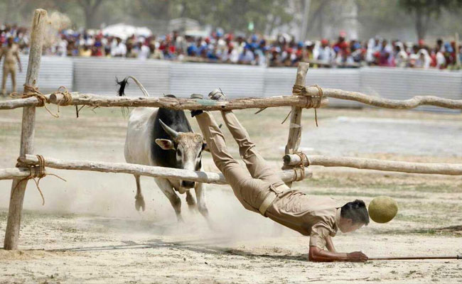 अखिलेश यादव बोले-कल रैली में सांड ज्ञापन देने घुस आया,BJP सरकार का गुस्सा सिपाही पर निकाला डाला