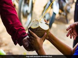 Summer Diet Tips: Desi Foods And Drinks To Naturally Boost Energy Summer Diet Tips: Desi Foods And Drinks To Naturally Boost Energy