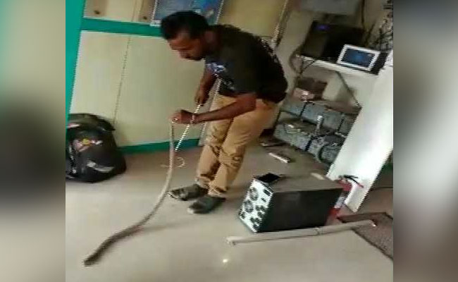 Snake Found Inside Tamil Nadu ATM. Watch Heroic Rescue Video