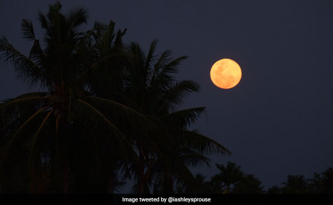 Pink Moon Illuminates Friday Night Sky
