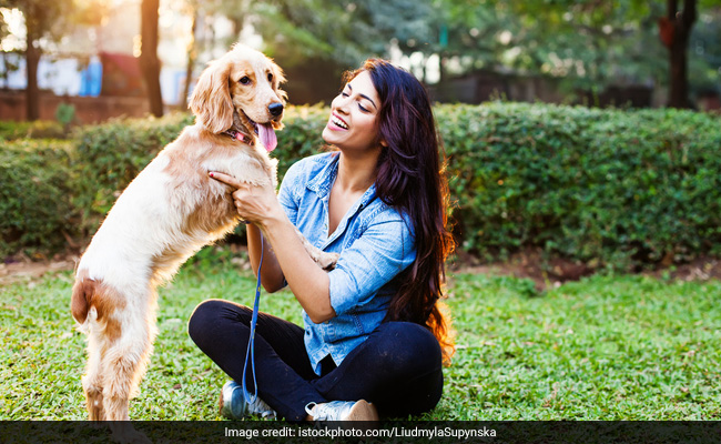 Dog Owners Are Much Happier Than Cat Owners, Survey Finds