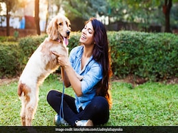 Dog Owners Are Much Happier Than Cat Owners, Survey Finds Dog Owners Are Much Happier Than Cat Owners, Survey Finds