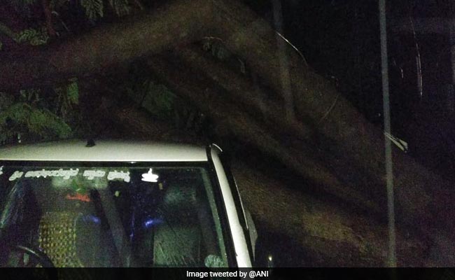 Heavy Rain Uproot Trees In Bengaluru, Minister Monitoring Situation