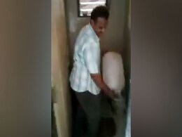 कहां के पानी से बनाई जा रही थी इडली? पहले वीडियो देखें, फिर लुत्फ उठाने का सोचें... कहां के पानी से बनाई जा रही थी इडली? पहले वीडियो देखें, फिर लुत्फ उठाने का सोचें...