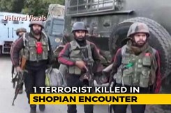 Terrorist Killed In Encounter In Jammu And Kashmir's Shopian Terrorist Killed In Encounter In Jammu And Kashmir's Shopian