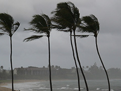 56 की मौत, 21 लापता... श्रीलंका में कहर बरपाने के बाद भारत की तरफ बढ़ रहा चक्रवात 'दित्वा', IMD का अलर्ट