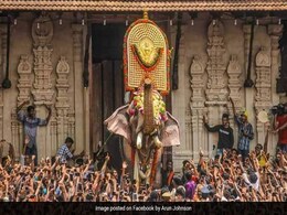 One-Eyed Celebrity Elephant Flags Off Thrissur Temple Festival After Row One-Eyed Celebrity Elephant Flags Off Thrissur Temple Festival After Row