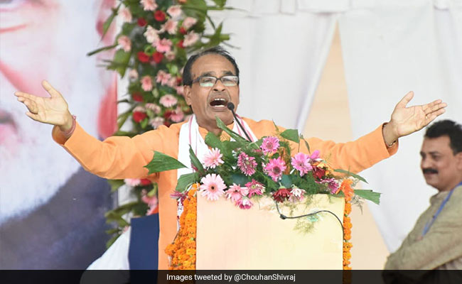 Shivraj Chouhan, Sumitra Mahajan Among Star Campaigners For BJP In Jhabua