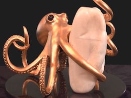Man Reveals 27 Kg Pearl, Possibly World's Biggest. It Is Worth... Man Reveals 27 Kg Pearl, Possibly World's Biggest. It Is Worth...